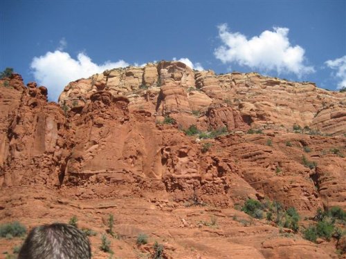 Sedona-fd0011